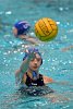 WWPolo vs CC  Wheaton College Women’s Water Polo vs Connecticut College. - Photo By: KEITH NORDSTROM : Wheaton, water polo